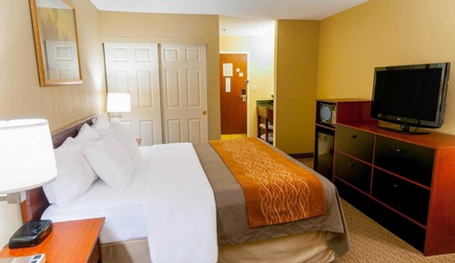 Standard Room, 1 King Bed, Non Smoking