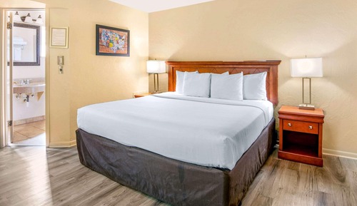 Room, 1 King Bed, Non Smoking