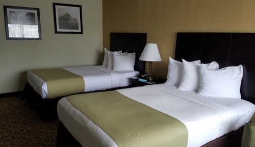 Standard Room, 2 Double Beds, Non Smoking, Refrigerator & Microwave