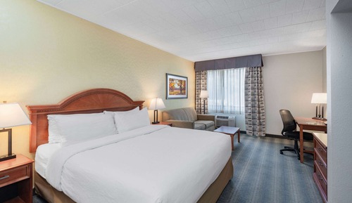 Room, 1 King Bed with Sofa bed (Pull Out Sofa)