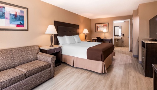 Standard Room, 1 King Bed, Accessible, Non Smoking (with Sofabed)