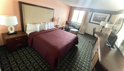 Standard Room, 1 King Bed, Non Smoking