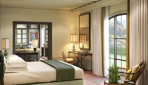 Suite (Botanica)