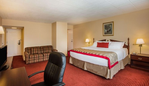 Room, 1 King Bed, Non Smoking