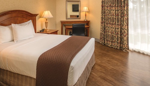 Economy Room, 1 Queen Bed