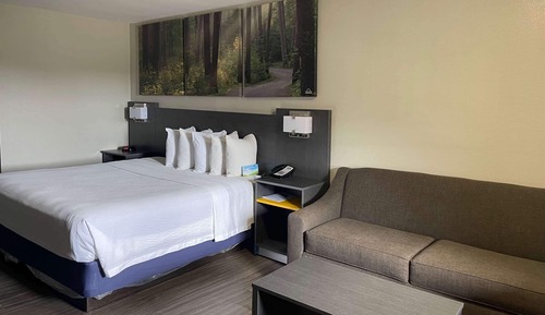 Room, 1 King Bed, Accessible, Non Smoking (Mobility, Tub w/ Grab Bars)