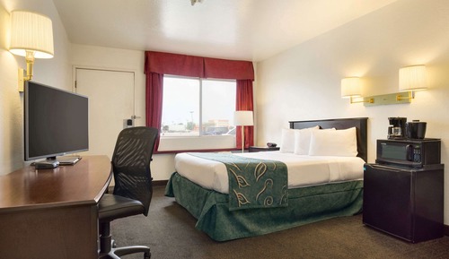 Studio Suite, Multiple Beds, Non Smoking