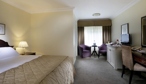 Standard Room, 1 King Bed