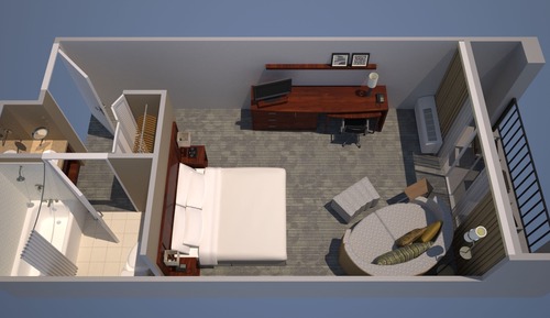 Room, 1 King Bed with Sofa bed, Non Smoking (Mobility Accessible, Roll-in Shower)