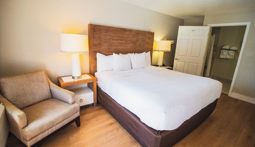Suite, 1 King Bed with Sofa bed, Non Smoking