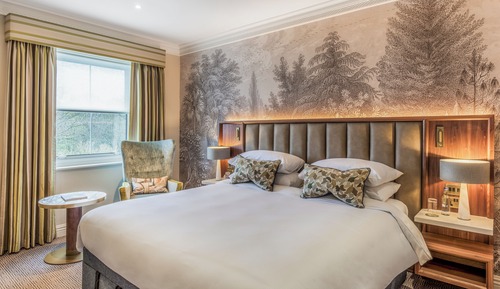 Plush Room