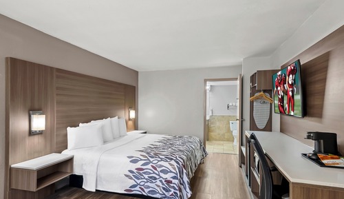 Superior Room, 1 King Bed, Non Smoking