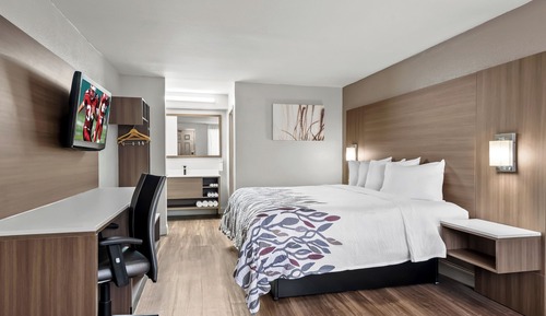 Deluxe Room, 1 King Bed, Smoking
