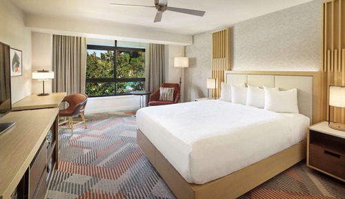 Room, 1 King Bed