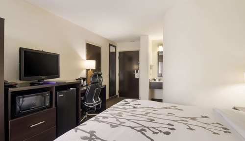 Room, 1 Queen Bed, Accessible, Non Smoking