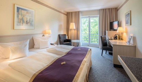 Business Room, 1 Double Bed