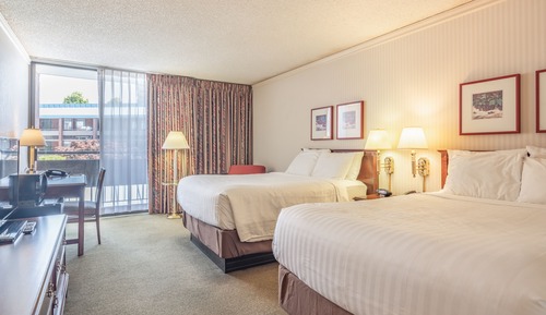 Standard Room, 2 Double Beds