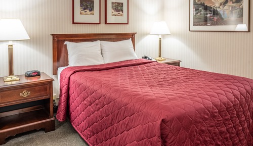 Standard Room, 1 Double Bed