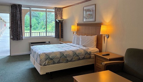 Deluxe Room, 1 King Bed, Non Smoking, Refrigerator & Microwave