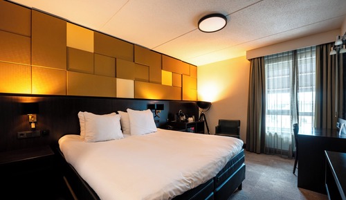 Comfort Room, 1 Double Bed