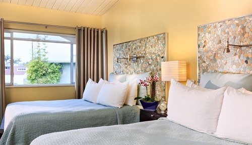 Studio Suite, 2 Queen Beds, Kitchen
