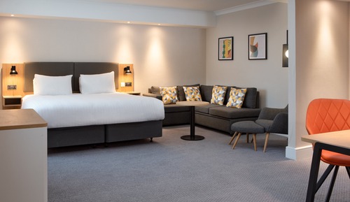 Standard Room, 1 King Bed with Sofa bed