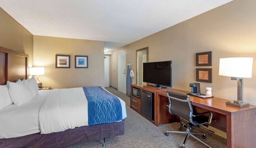 Room, 1 King Bed, Accessible, Non Smoking