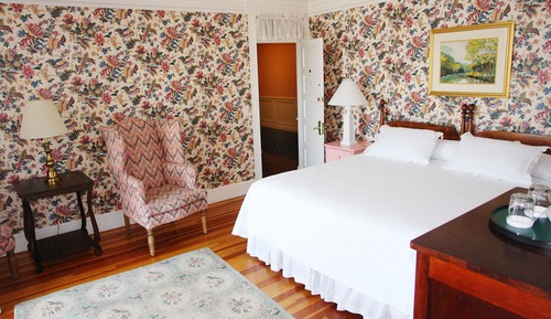 Room, 1 King Bed (Garden)