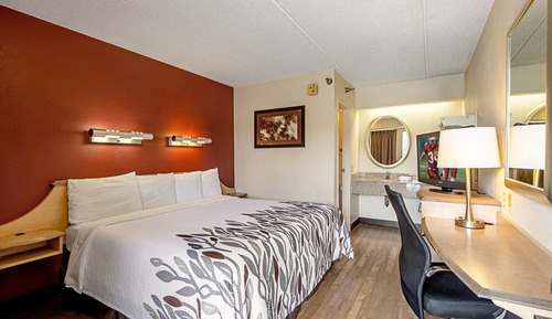 Standard Room, 1 King Bed, Smoking