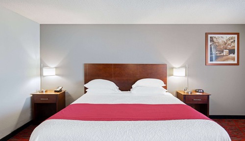 Room, 1 King Bed, Non Smoking