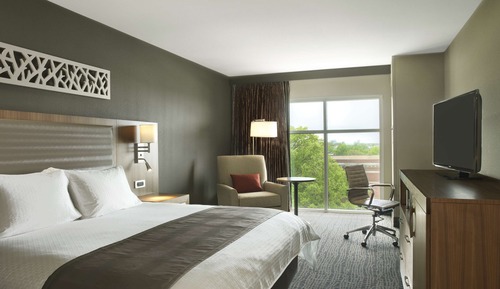 Room, 1 King Bed with Sofa bed, City View