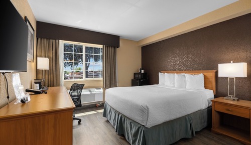 Room, 1 Queen Bed, Non Smoking