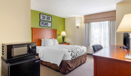 Standard Room, 1 Queen Bed, Non Smoking