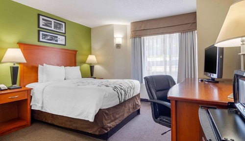 Room, 1 Queen Bed, Non Smoking (Pet Friendly)