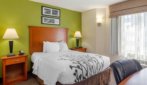 Room, 1 Queen Bed, Accessible, Non Smoking