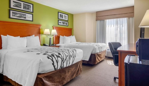 Room, 2 Double Beds, Non Smoking (Pet Friendly)
