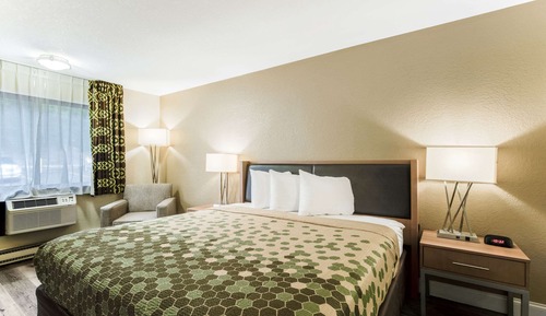 Room, 1 King Bed