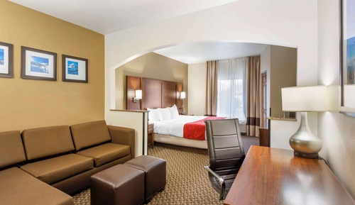 Suite, 1 King Bed with Sofa bed, Non Smoking