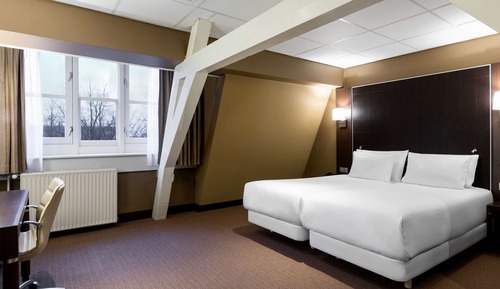 Superior Room, View