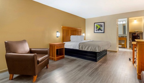 Room, 1 King Bed, Accessible, Non Smoking