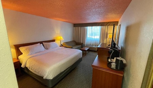 Single Room, 1 King Bed