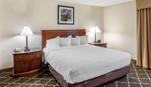 Room, 1 King Bed, Non Smoking, Jetted Tub