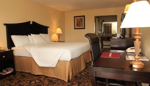 Standard Room, 1 King Bed