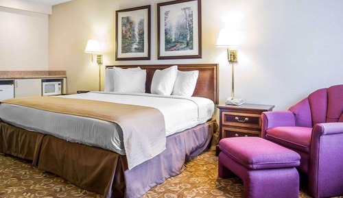 Standard Room, 1 King Bed, Non Smoking