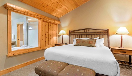 Suite, 1 King Bed, Non Smoking, Jetted Tub (with Sofabed;No Pets in room type)