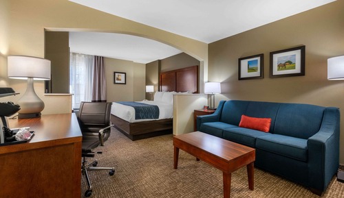 Room, 1 King Bed with Sofa bed, Non Smoking (Upgrade)