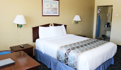 Room, 1 Queen Bed