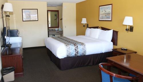 Room, 1 King Bed