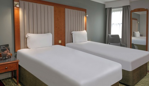 Classic Twin Room