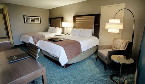 Studio Suite, 2 Queen Beds